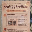 쁘띠멍 | 전주 신시가지 카페 '메종드쁘띠푸르' 빵 종류 많은 베이커리 카페 전주 맘모스 맛집 추천