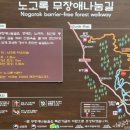 서귀포 치유의 숲 힐링트레킹 (22. 7.29.) 이미지