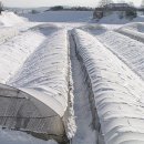 고려상사 이미지