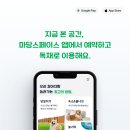 JK훼밀리단독펜션 | [마당스페이스 후기]이번주 단독 애견운동장 마당스페이스 후기 &amp; 베스트 컷
