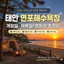 태안 연포해수욕장 개장일 해루질 캠핑장 주차 맛집까지 총정리