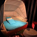 모모의 숲 이미지