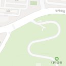 다온스킨앤바디 복부관리 이집 잘하네