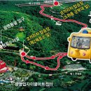 광명동굴 (코끼리차 주차장) 이미지