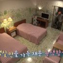 호텔감귤향기 티스토리
