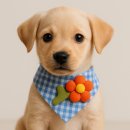 케이프 | 미니소 토이스토리 우디 굿즈: 고양이 케이프 착용 후기!