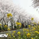 낮&밤 이미지