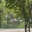 영풍모텔 | 어쩌다 서울와서 코엑스 베이비페어까지 간 이야기