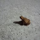 어라연하우스 이미지