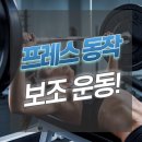 문스짐피티샵 이미지