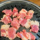 청송하