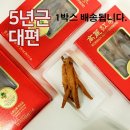 마른5 이미지