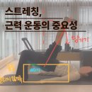 근력스트레칭(2) | 인천 송도 필라테스 가격 및 스트레칭과 근력 운동의 중요성