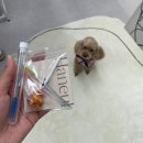 [인천 영종도 속눈썹] 꼼꼼한 상담과 완벽한 컬! 하늘뷰티 영종도속눈썹펌 100% 만족 후기