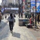 우리야채청과 이미지