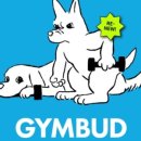 토리짐 휘트니스 이미지