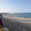 마이앤트세라 이미지