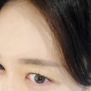 르네41 이미지