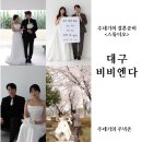 1291 | 대구웨딩스튜디오, 비비앤다스튜디오 웨딩촬영 후기