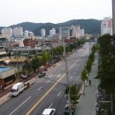 비래동 산림조합 이미지