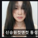신승원컷앤컷 동성로점
