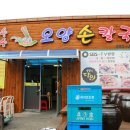 보령투어 이미지