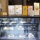 아이비586 이미지