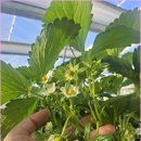 영천농장 이미지