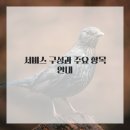 한라서비스 이미지