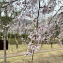 설산한의원 이미지