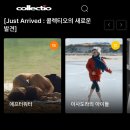 예술 영화 감상 이미지