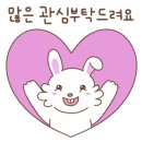 금사랑금거래소 - 익산시 고봉로32길 13-1 | 금사랑금거래소