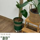 덕소로116번길1 | 덕소역 속눈썹 빠른 손으로 예쁘게 속눈썹 연장해주시는 컬미