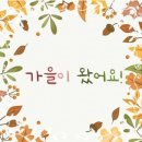 드라마안경 이미지