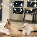 헤이독청주 이미지