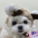 양파살롱 이미지