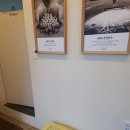 현대나운점 이미지