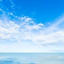 송백로-3 이미지