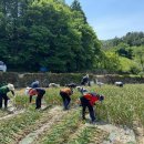 상주면행정복지센터 이미지