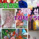 드림팜웰