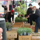 인제시장 이미지