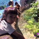 연꽃어린이집 이미지