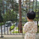 24개월 아기랑 파라스파라서울 호캉스 :: 팀버스위트룸 5인 숙박(최대6인) /아기튜브/ 근처 맛집+카페