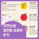 (주)자연과 사람들 | 창동 자연눈썹 모먼트브로우 후기