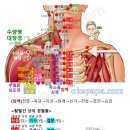 중부(中府)-LU1 이미지