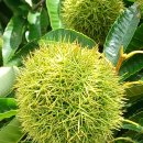 현대자동차 연지점 이미지