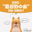 길음동물병원 이미지