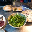 산본중앙동물병원 이미지