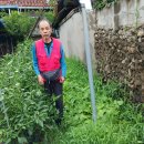 공단이용소 이미지