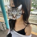 해마수학 | 제목을뭘로해야해ㅜㅜ
